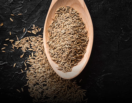 Cumin-seeds